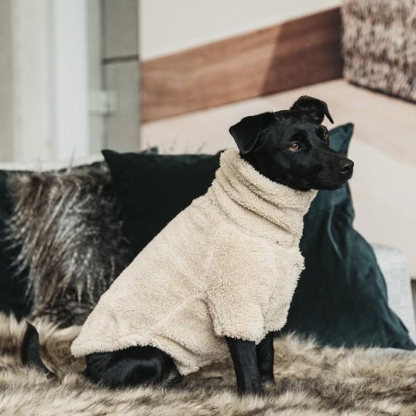 kentucky teddy fleece dog sweater