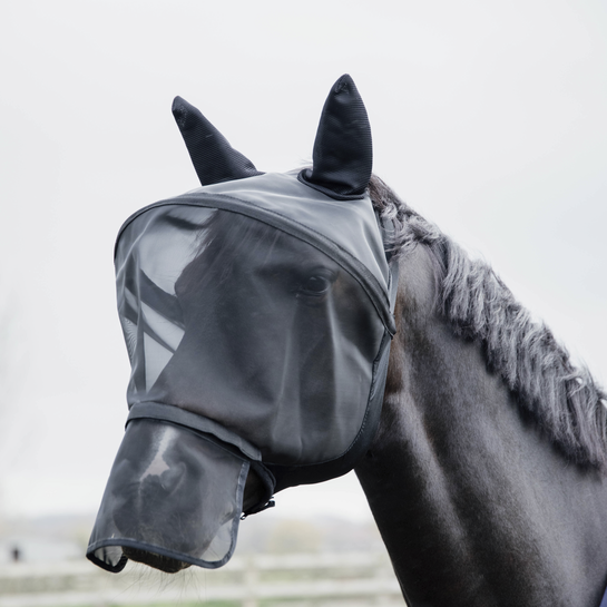 Kentucky ötökkähuppu hevoselle jossa on iso kehikko jotta huppu ei osu hevosen silmiin