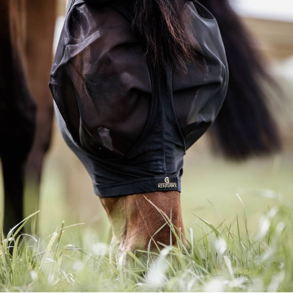 Vahvistamalla hevosen immuunijärjestelmää voidaan ennaltaehkäistä hyönteisten tuomaa ihoärsytystä ja lieventää kesäihottuman oireita