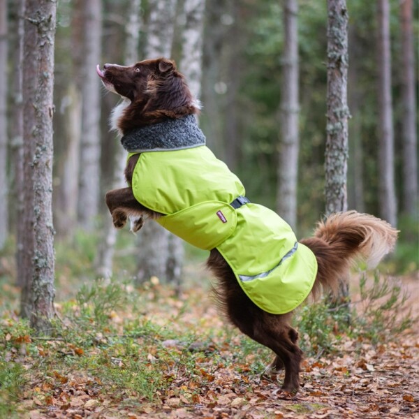 Pomppa lämmin takki koiralle talveki