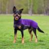 Jumppapomppa koiralle värissä violet