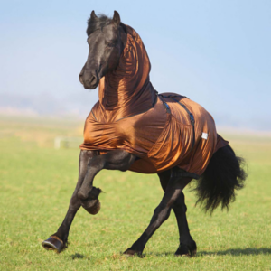 QHP Eczema ihottumaloimi iso kaulaisille hevosille