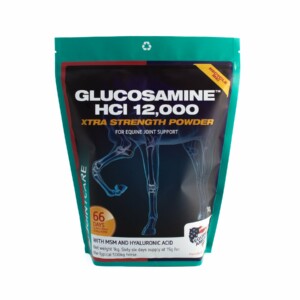 Equine America Glucosamine MSM Nivelaine hevosille.