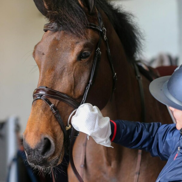 Carr & Day & Martin Tack Cleaner puhdistuskinnas nahalle.