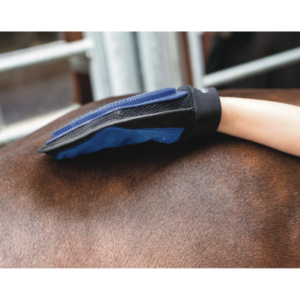 Horse Guard Grooming Gloves Hoitohanska