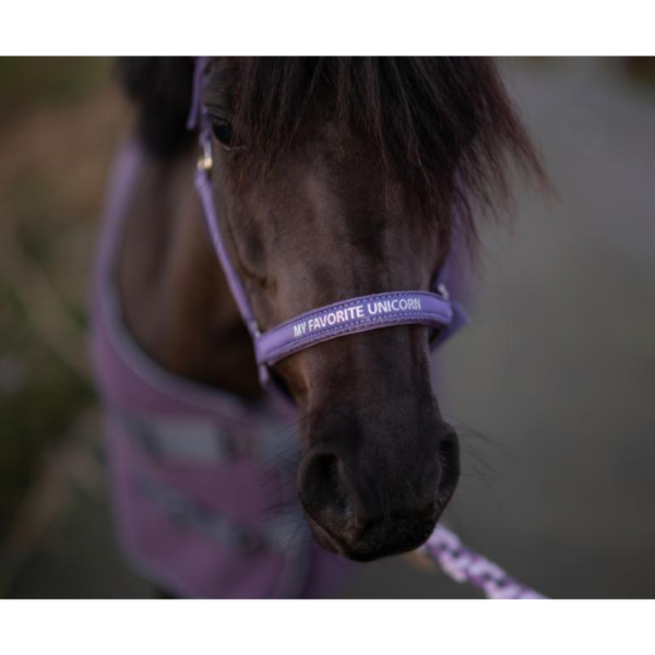 Horse Guard Malva Riimu Tekstillä Liila