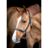 Horse Guard Malva Riimu Tekstillä Musta