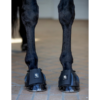 Horse Guard Tamsin Kumiputsit Tarralla Musta
