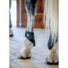 Horse Guard Tary Lyhyet Takasuojat Musta