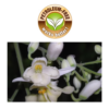Leovet Stain Eraser Spray