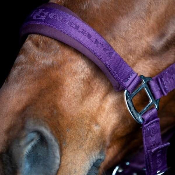 Horse Guard Diya Riimu Liila