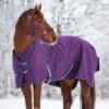 Horse Guard Diya Riimu Liila