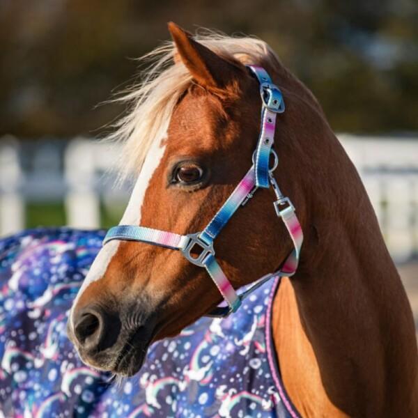 Horse Guard Gradient Riimu