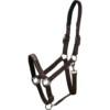 Horse Guard Sandra Riimu Ruskea