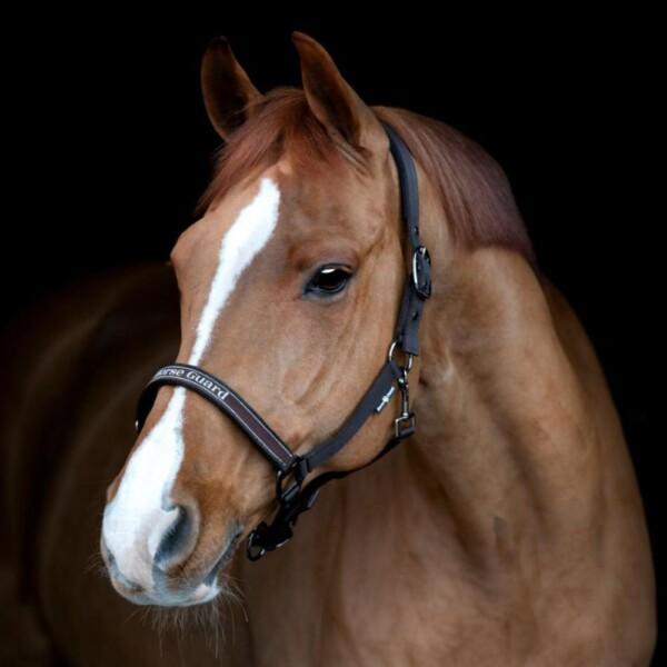 Horse Guard Sandra Riimu Ruskea
