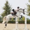 Kingsland Classic Ladies SS Kisapaita