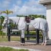 Horseware Amigo Flyrider Ratsastusloimi