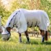 Horseware Rambo Protector Plus Ötökkäloimi