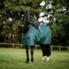 Horseware Amigo ripstop 900d sadeloimi hevoselle vihreänä