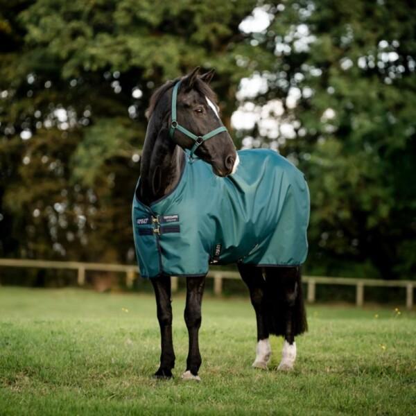 Horseware Amigo ripstop 900d sadeloimi hevoselle vihreänä