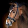 Catago Arlington Suitset