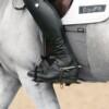 Equifit harmaa Bellyband kylkisuoja hevoselle