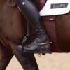 Equifit Bellyband ruskea kylkisuoja hevoselle