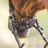 EquiFit curbchain kankiketjun suojapehmuste