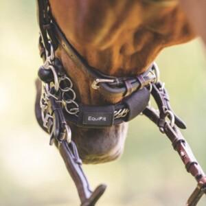 EquiFit curbchain kankiketjun suojapehmuste