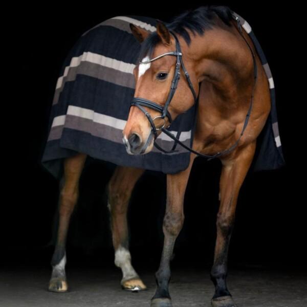 Horse Guard Squared Viltti
