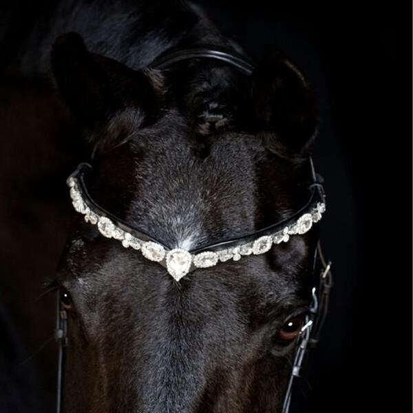 Horse Guard Sunnywale Otsapanta