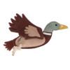 QHP Duck Koiranlelu