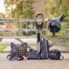 QHP Isalyn Unicorn Dream Collection