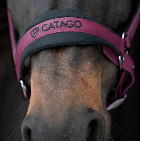 Catago FIR-Tech Riimu