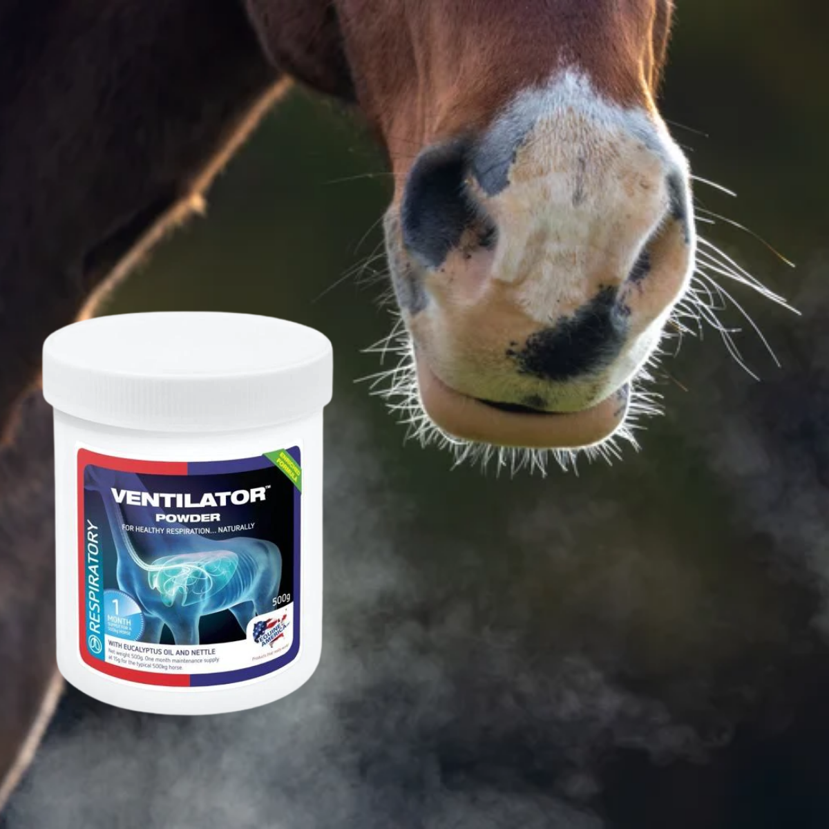 Equine America Ventilator – Tukea hengitysteiden hyvinvointiin