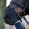 Equipage Laredo Talviratsastushanskat