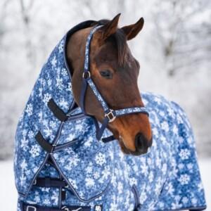 Horse Guard Snowflake Riimu