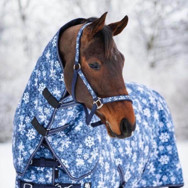 Horse Guard Snowflake Riimu