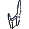 Horse Guard Snowflake Riimu