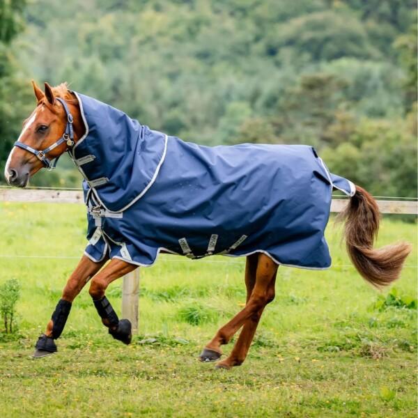 Horseware Amigo 1200D Plus Turnout 100g Loimi Sininen