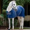 Horseware Rambo Stable Sheet Talliloimi