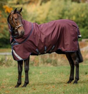 Horseware Amigo 1200D Plus Turnout 100g Loimi