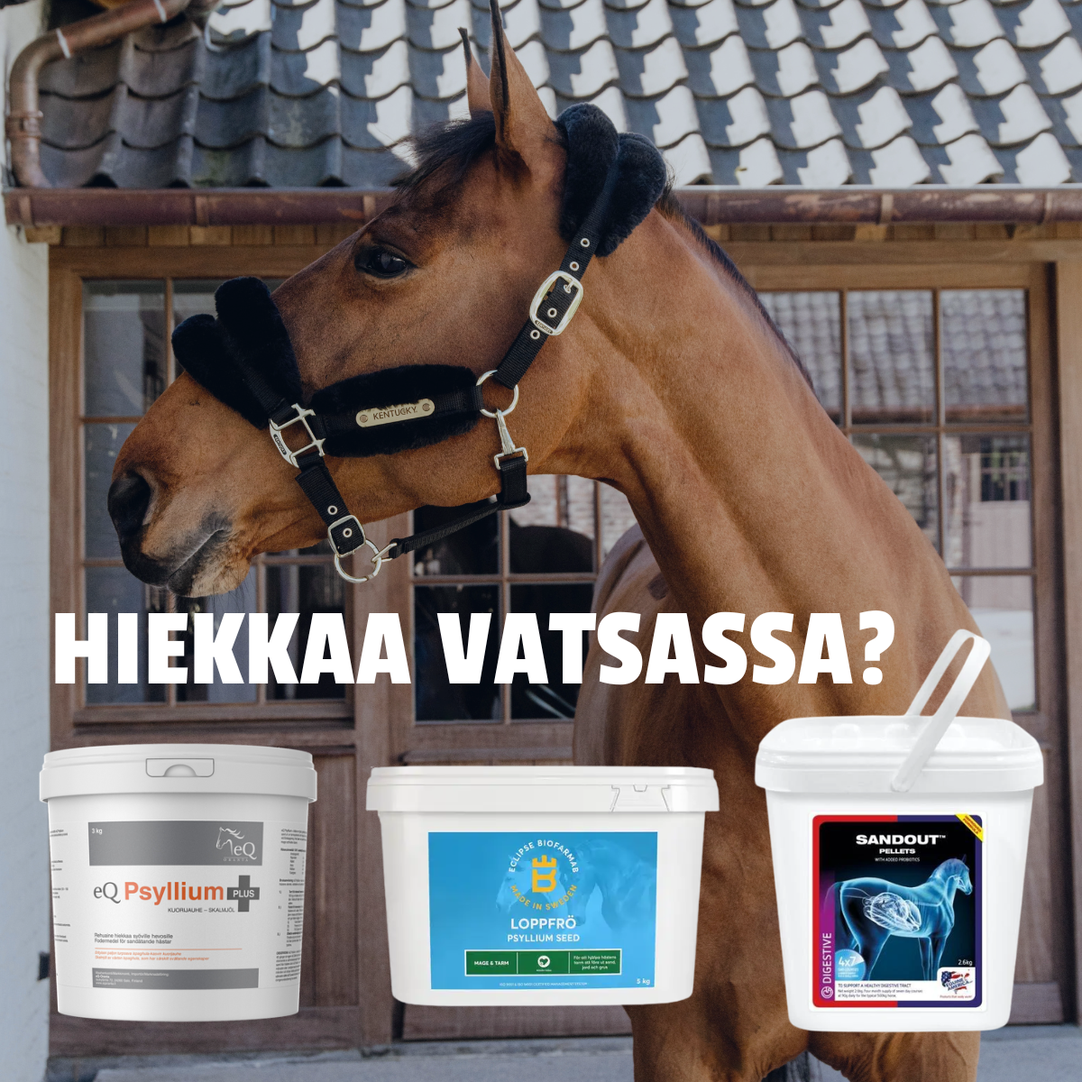 Hiekkaa Hevosen Vatsassa? Psyllium ja hiekan ehkäisy