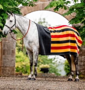 Horseware Newmarket Fleece Viltti